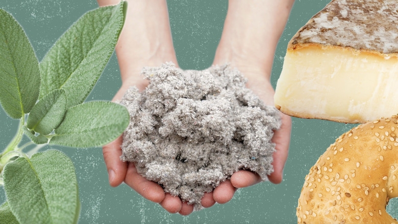 Cellulose, cheese, and bread