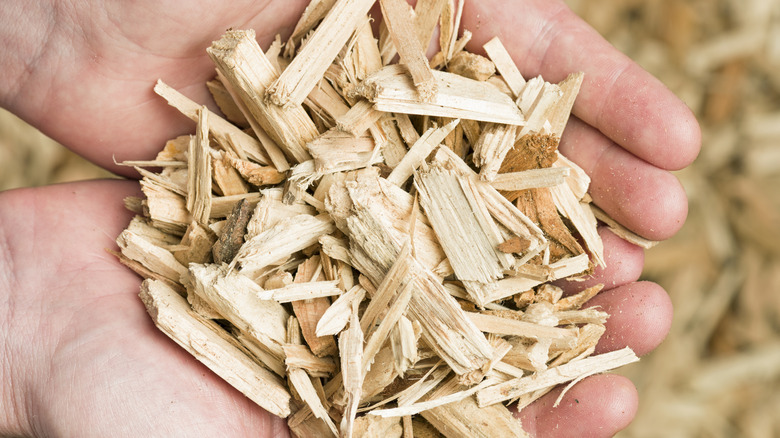 Wood chips in hands