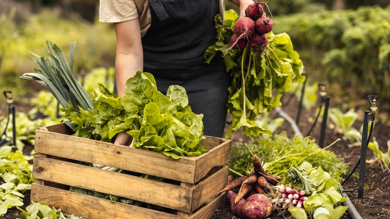 A box of vegetables