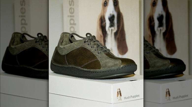 Hush Puppies shoe on shoebox