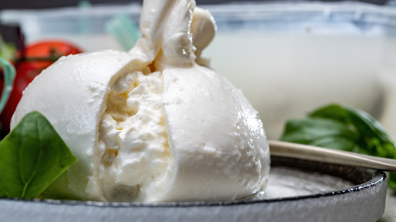 Fresh mozzarella ball with basil