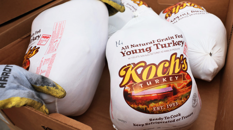 turkey in a bag