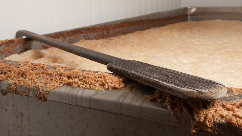 fermentation vat