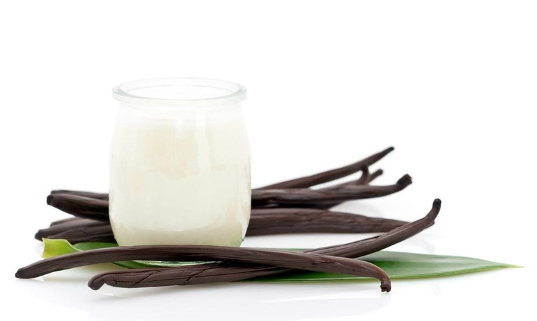 yogurt