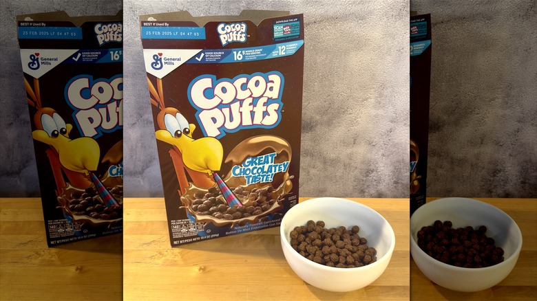 Bowl of Cocoa Puffs