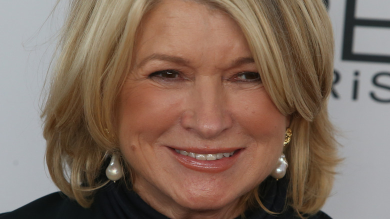 Close-up of Martha Stewart