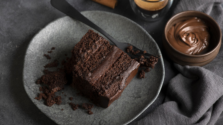 Slice of chocolate cake on plate