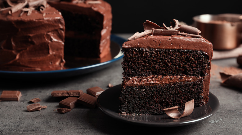 Rich chocolate cake on plate