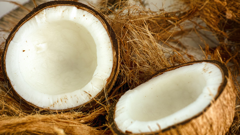 fresh coconut cracked in half