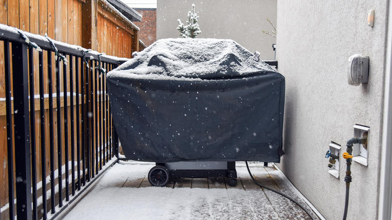 Covered grill getting snowed on