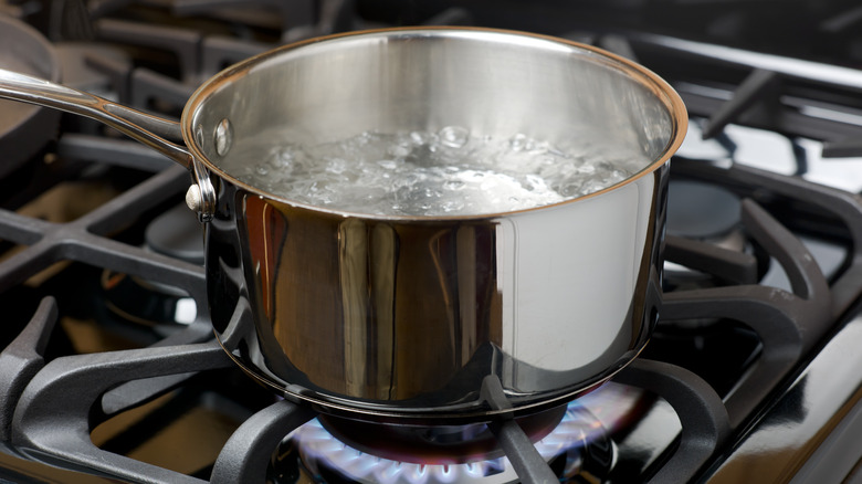 Pot of water boiling on gas stove