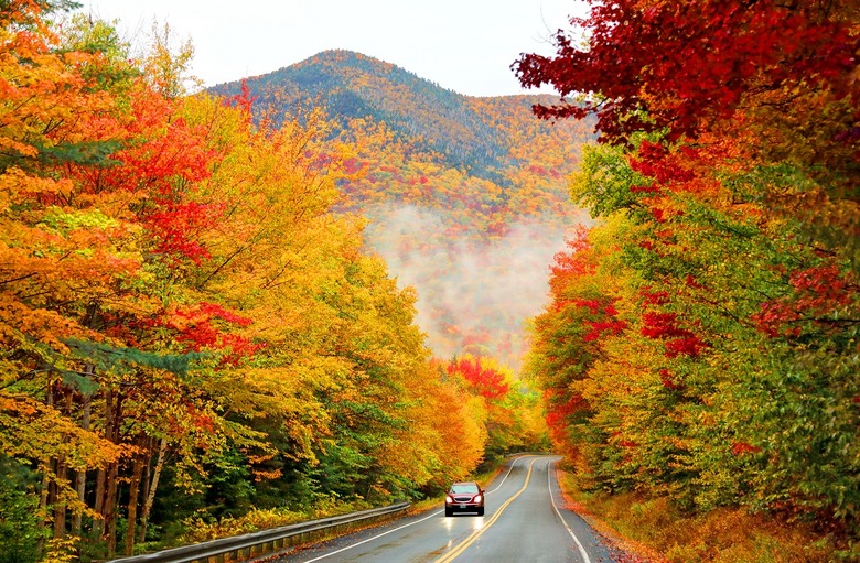 "Leaf Peepers"