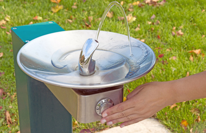 "Bubbler"
