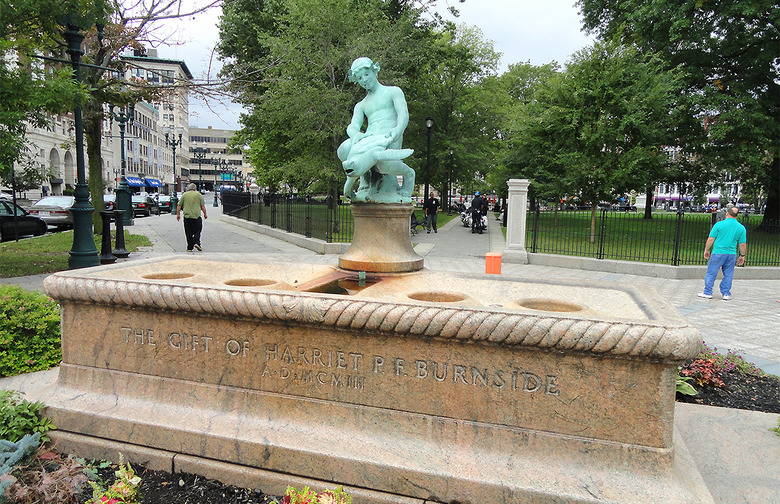 Massachusetts: Turtle Boy, Worcester