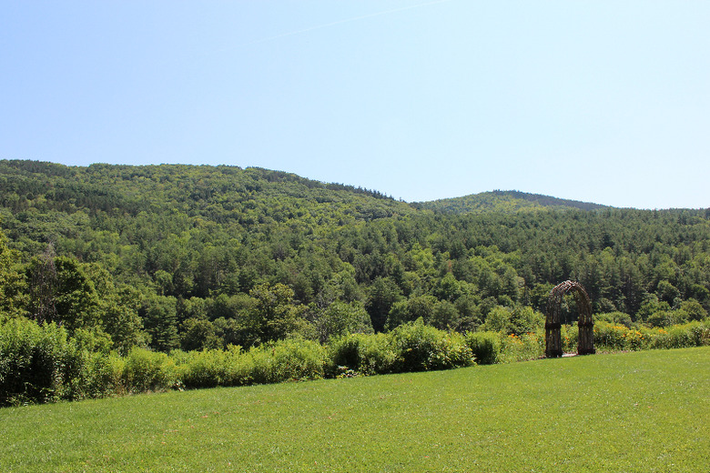 The gardens and barn
