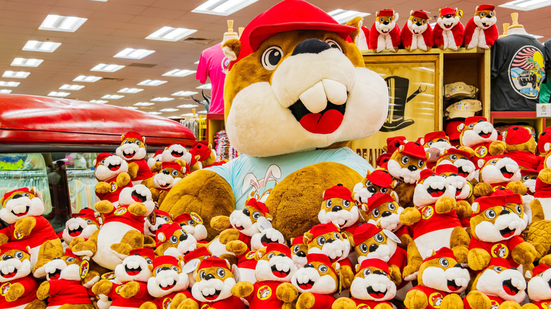 A heap of Buc-ee beaver plushies