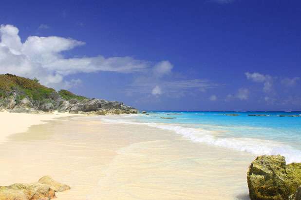 Caribbean Cuisine