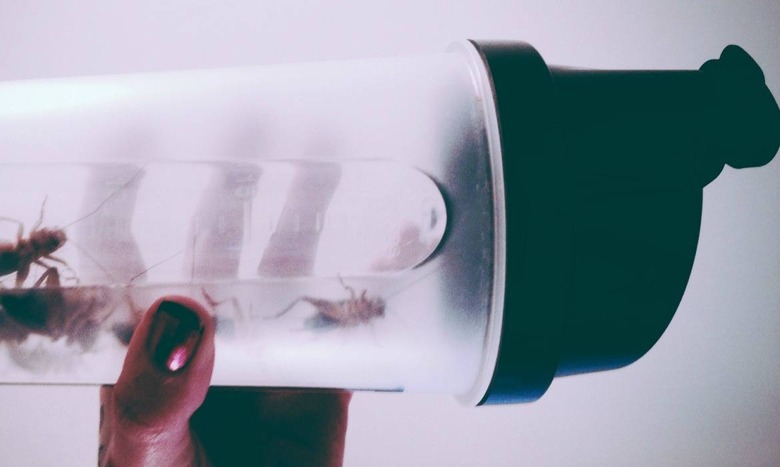 shaker bottle