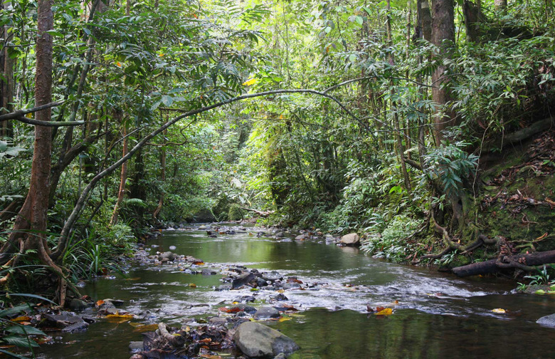 Kokoda Trail, Papua New Guinea