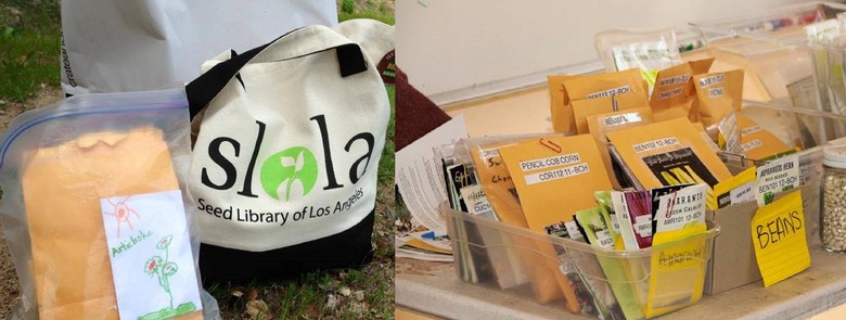 seed library