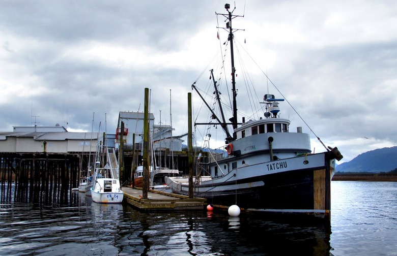Alaska Seafood