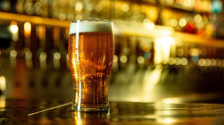 A pint of beer sits on a bar counter