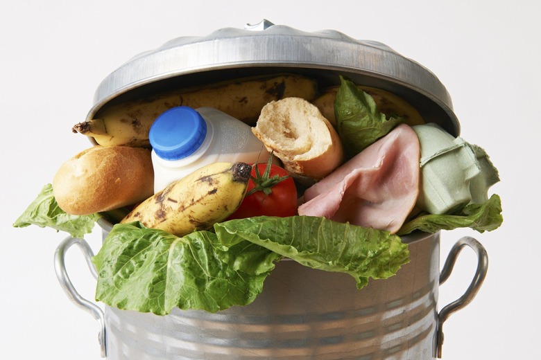 This Couple Spent 6 Months Eating Only Discarded Food and Turned It into a Documentary
