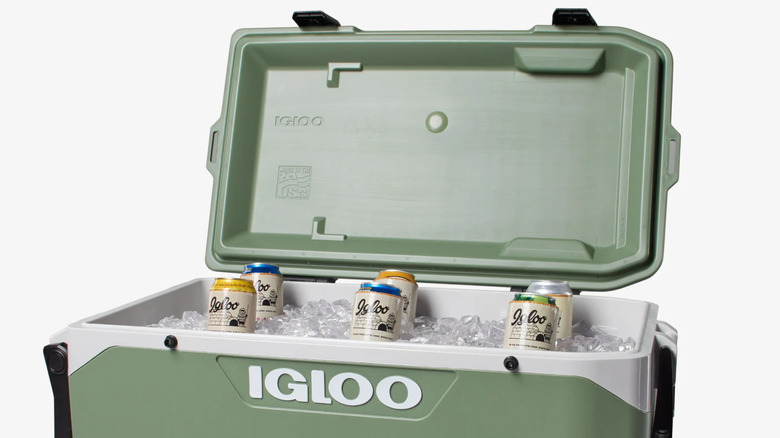 Open Igloo cooler on white background