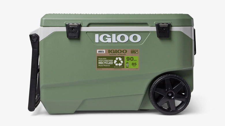 Green Igloo cooler on white background