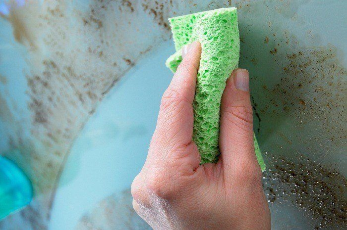 This Is the Dirtiest Thing in Your Kitchen