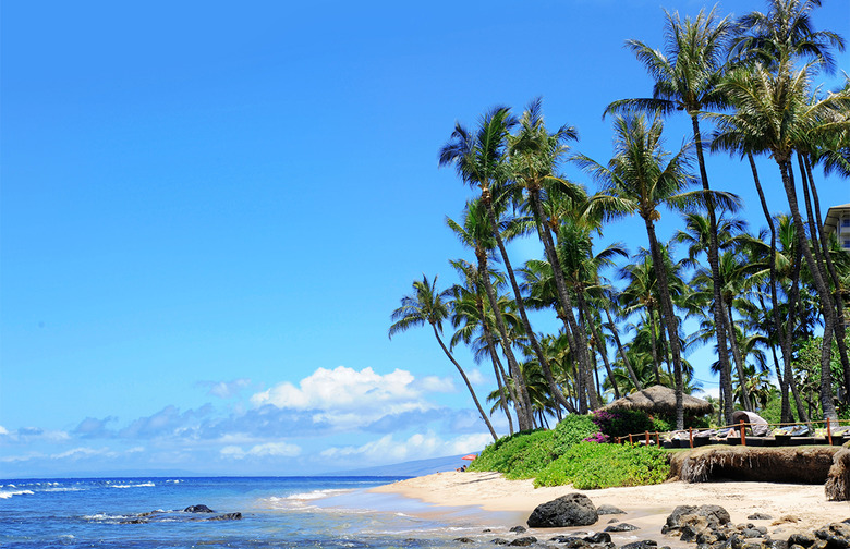 Maui