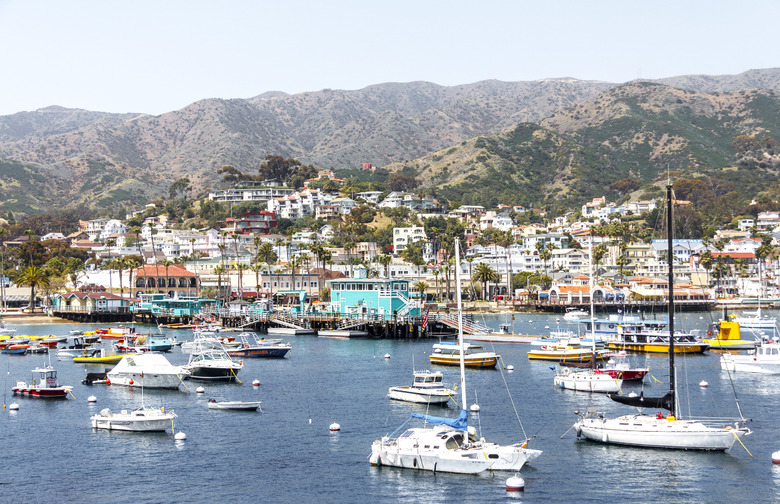 Santa Catalina 
