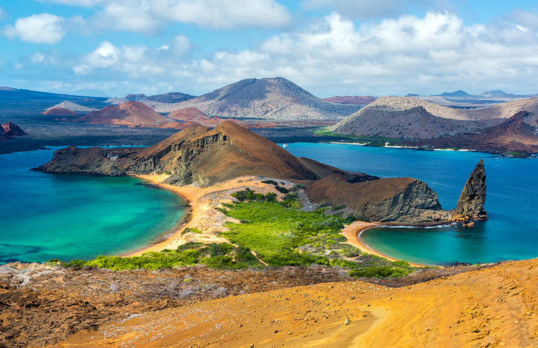 The Galápagos