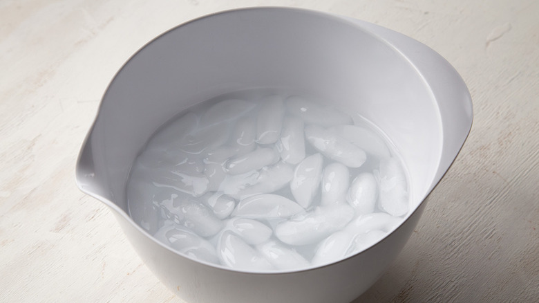 ice cubes and water in a white plastic bowl