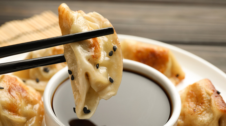 Close up of gyoza held with chop sticks going in dipping sauce.