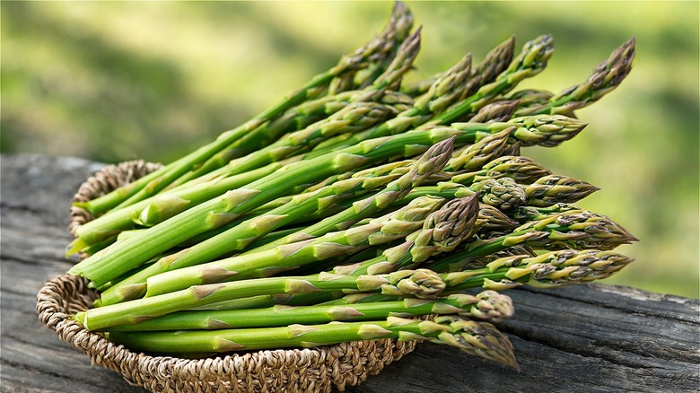 Asparagus shoots