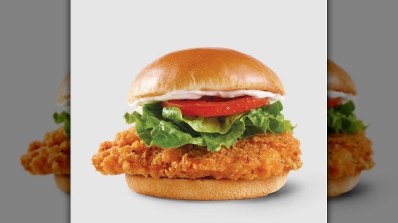 Wendy's spicy chicken sandwich on white background