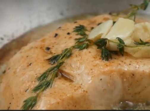 salmon