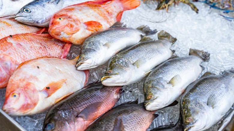 variety of fresh whole fish