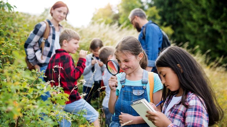 Kids exploring on a trail
