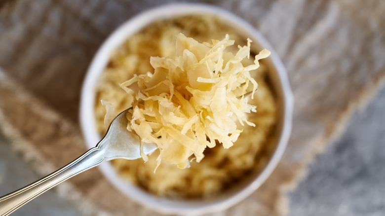Fork with sauerkraut