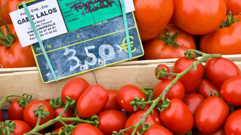 Tomatoes on and off the vine