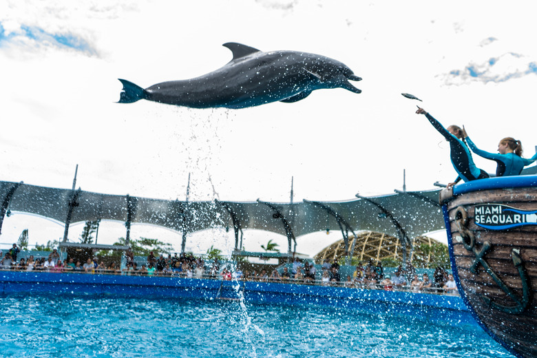 Miami Seaquarium