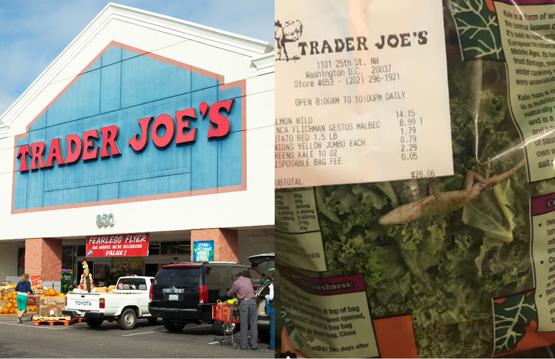 trader joes lizard