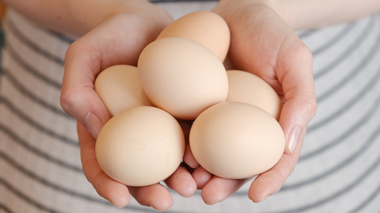 hands holding large eggs