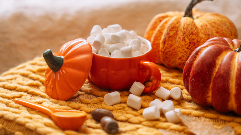 harvest hot chocolate