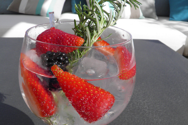 Lust Gin and Tonic