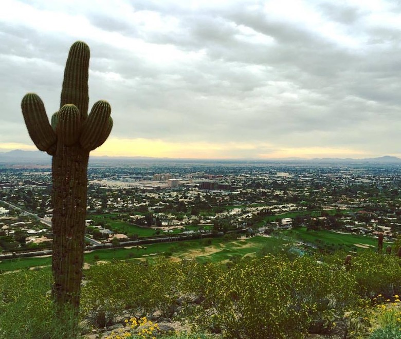 Award-Winning Resort: The Phoenician