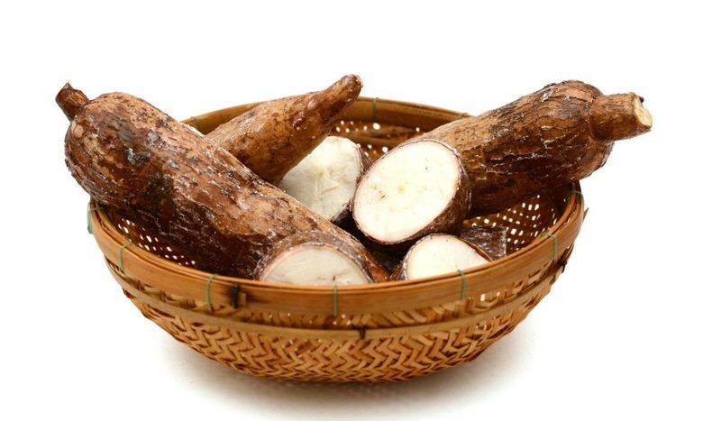Yucca