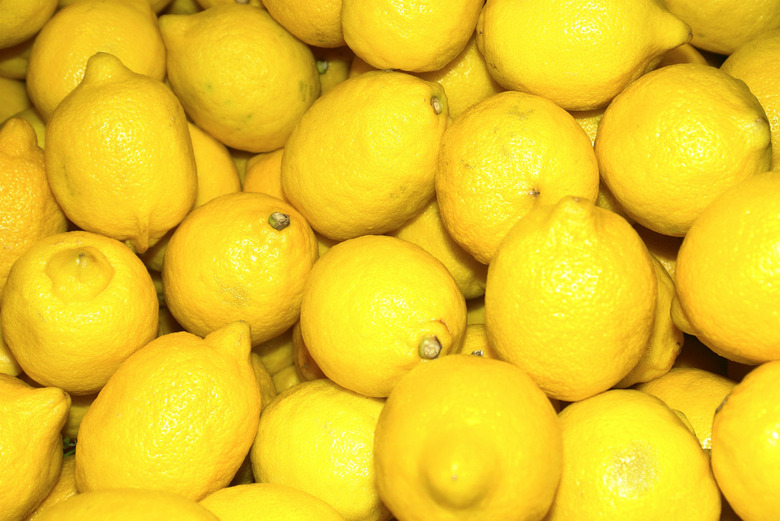 Lemon pigs